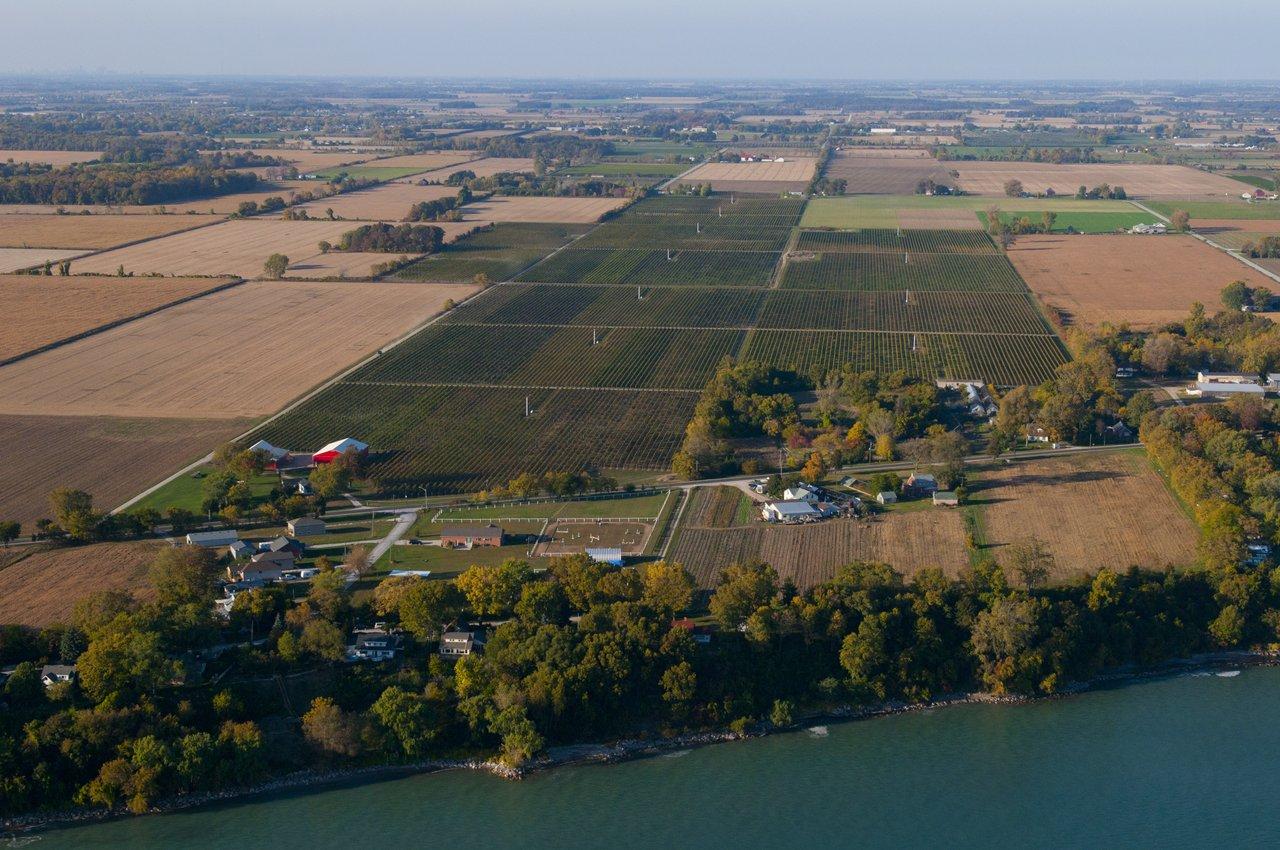 Essex County  Southwest Ontario  A bird's-eye-view of farmland and Lake Erie in Essex County Destination Ontario